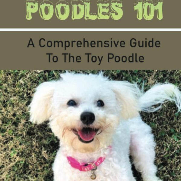 The Toy Poodles 101: A Comprehensive Guide To The Toy Poodle