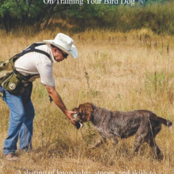 Tips and Tales: On Training Your Bird Dog