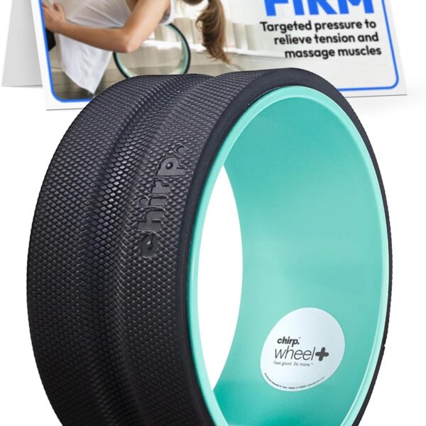 Chirp Wheel Foam Roller - Targeted Back & Neck Pain Relief, Muscle Massage, Trigger Point Therapy, High-Density Foam Tool for Physical Therapy, Stretching & Exercise, 500lbs Capacity, 10-Inch Mint