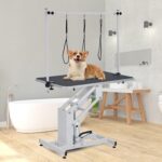 Hydraulic Dog Grooming Table, 43.3" Large Heavy Duty Pet Grooming Table w/Adjustable Arm & Noose, 350 Lbs Capacity, Non-Slip Top, 22"-39" Height Range for Grooming Salons