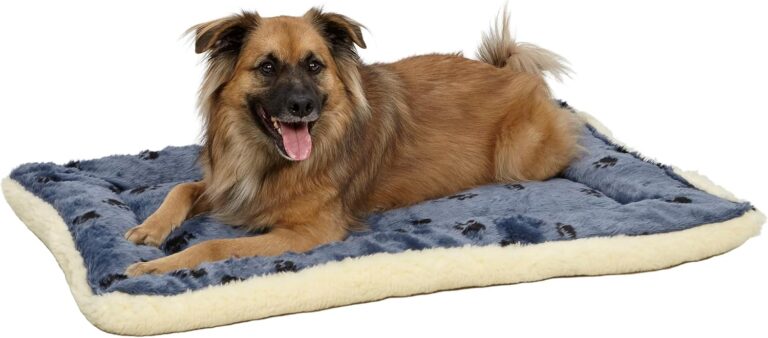 MidWest Homes for Pets QuietTime Reversible Paw Print Pet Bed, Soft Faux Fur & Fleece 36-Inch Crate Mat for Medium to Large Dogs, Machine Washable, Blue and Cream