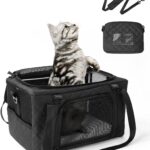 PETUX Airline Approved Cat Carrier for Small Cat - 16" x 10" x 9.5", Double Anti-Escape, Collapsible, Underseat, Under 10 lb with Removable Snack Bag, Safety Buckle, Leash - Ideal for Travel - Black