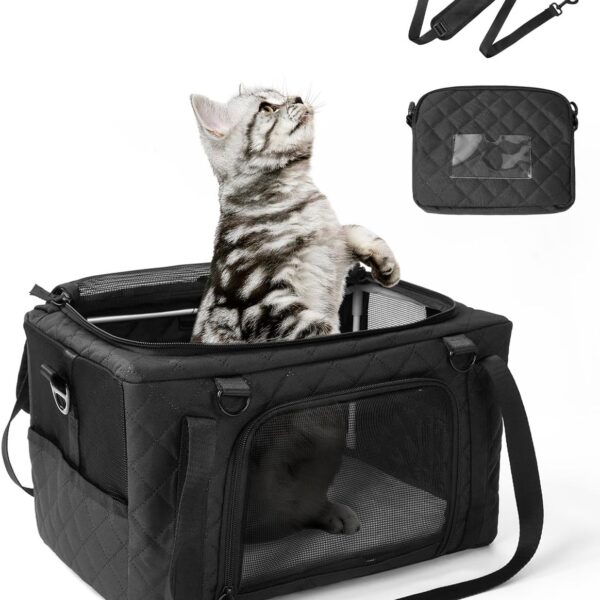 PETUX Airline Approved Cat Carrier for Small Cat - 16" x 10" x 9.5", Double Anti-Escape, Collapsible, Underseat, Under 10 lb with Removable Snack Bag, Safety Buckle, Leash - Ideal for Travel - Black