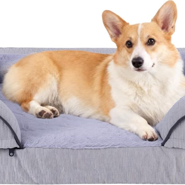 GOBOBE Orthopedic Dog Bed for Extra Large Dogs, 42x30 Inch Waterproof Egg Crate Memory Foam Dogs Bed with Zipper Top and Washable Cover, Nonslip Bottom for Living Room, Dark Grey