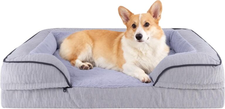 GOBOBE Orthopedic Dog Bed for Extra Large Dogs, 42x30 Inch Waterproof Egg Crate Memory Foam Dogs Bed with Zipper Top and Washable Cover, Nonslip Bottom for Living Room, Dark Grey