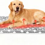 Clysee Large Self Warming Dog Bed Pad for Elevated Dog Bed Replacement Self Heating Warm Raised Cot Pad Mat with Corner Strap Removable Washable Soft Plush Cover Non-Slip Bottom Star(51 x 32 Inches)