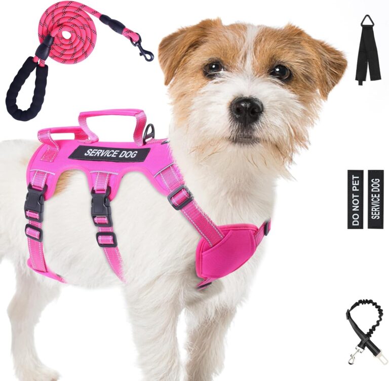 Escape Proof Dog Harness for Large Medium Sized Dogs Six Point Adjustable, Service Dog Vest Harness and Leash Set, No Pull Dogs Harnesses with Handle, Medium Dog Harnesses for Walking(Pink, S)