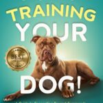 Stop Training Your Dog: A Guide to Connecting Beyond Commands, Understanding Behavior, and Becoming the Change You Both Need