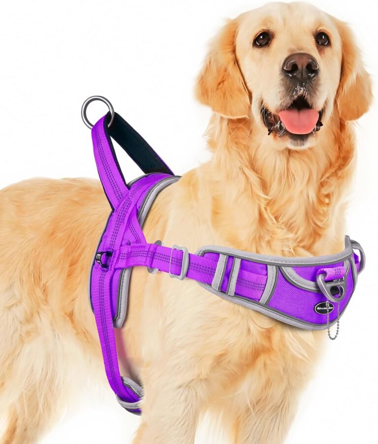 ADVENTUREMORE No Pull Dog Harness for Large Dogs, Sport Dog Halter Harness Reflective Breathable Dog Vest Escape Proof Dog Harness with Easy Control Front Clip Handle for Training Walking L Purple