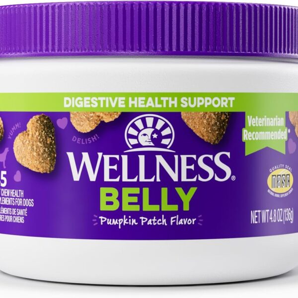 Wellness Pumpkin Patch Flavored Soft Chew Digestive Health Supplements for Dogs, 45 Count