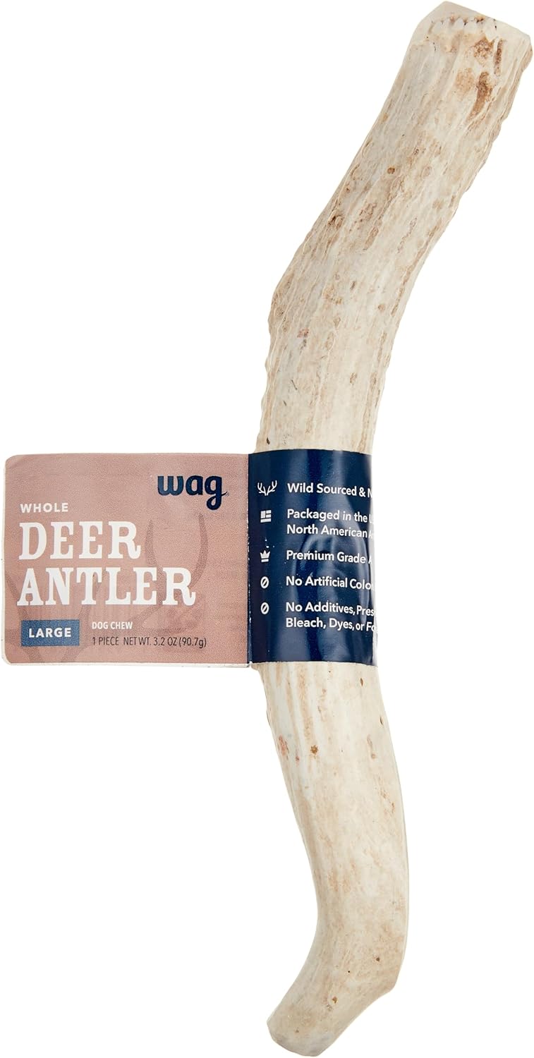 Amazon Brand - Wag Dog Deer Antler Chew, Naturally Shed, Whole, Large 8-9.5 inches, Long Lasting for Aggressive Chewers, Best for Dogs 30-45 lbs, 3.20 Ounce (Pack of 1) Amazon Brand - Wag Dog Deer Antler Chew, Naturally Shed, Whole, Large 8-9.5 inches, Long Lasting for Aggressive Chewers, Best for Dogs 30-45 lbs, 3.20 Ounce (Pack of 1)