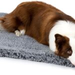 PELZIN Stoutwool Indestructible Dog Bed - Fluffy Chew Proof Dog Crate Pad - Tough Kennel Pad for Aggressive Chewers - Washable, Ideal for Large Breeds & Fits 36-Inch Crate - 35"x22", Charcoal