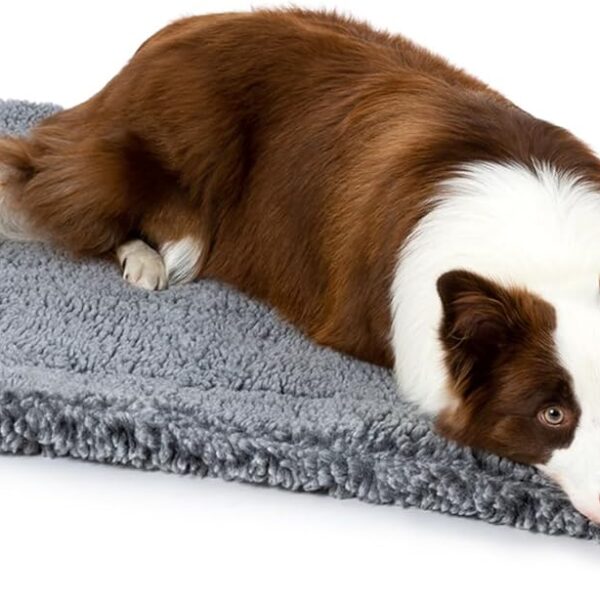 PELZIN Stoutwool Indestructible Dog Bed - Fluffy Chew Proof Dog Crate Pad - Tough Kennel Pad for Aggressive Chewers - Washable, Ideal for Large Breeds & Fits 36-Inch Crate - 35"x22", Charcoal