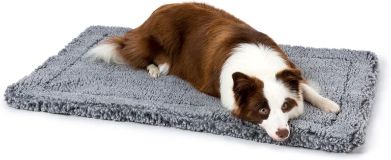 PELZIN Stoutwool Indestructible Dog Bed - Fluffy Chew Proof Dog Crate Pad - Tough Kennel Pad for Aggressive Chewers - Washable, Ideal for Large Breeds & Fits 36-Inch Crate - 35"x22", Charcoal