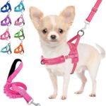 Lukovee No Pull Dog Harness and Leash Set, Soft Padded Small Dog Harness, Neck & Chest Adjustable Reflective Vest Puppy Harness with 4ft Lightweight Anti-Twist Dog Leash for Small Dogs (XS, Pink)