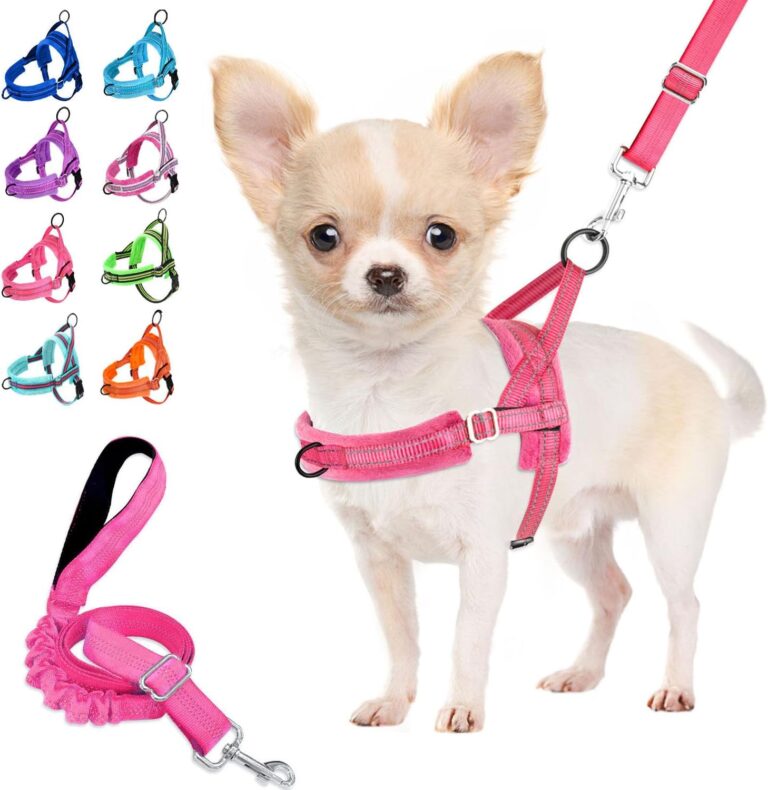 Lukovee No Pull Dog Harness and Leash Set, Soft Padded Small Dog Harness, Neck & Chest Adjustable Reflective Vest Puppy Harness with 4ft Lightweight Anti-Twist Dog Leash for Small Dogs (XS, Pink)