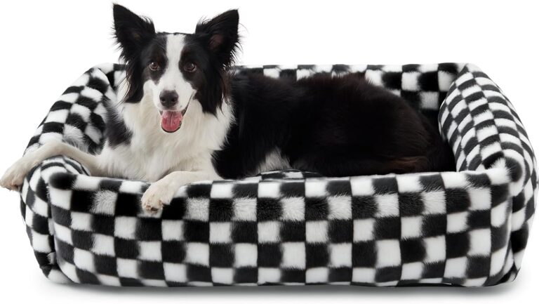 JOEJOY Dog Bed Medium Size Dog, Rectangle Washable Orthopedic Corduroy Fleece Pet Bed with Removable Zipper Cover, Cute Soft Calming Puppy Bed with Non Skid Bottom