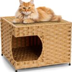 Cat House for Indoor Cats -Handwoven Rattan Cozy Kitten Cave with Double-Sided Soft Cushion, Decorative Pet Bed Furniture