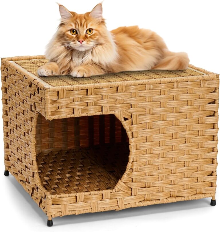 Cat House for Indoor Cats -Handwoven Rattan Cozy Kitten Cave with Double-Sided Soft Cushion, Decorative Pet Bed Furniture