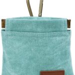 SolidSS 1 Pcs Pocket Pet Training Pouch,Dog Treat Pouch for Portable Pet Dog Walking Bag for Travel or Outdoor Use (Cyan)