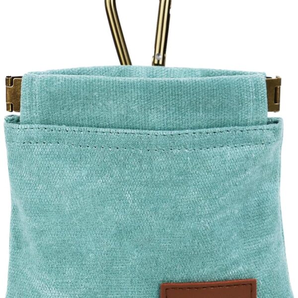 SolidSS 1 Pcs Pocket Pet Training Pouch,Dog Treat Pouch for Portable Pet Dog Walking Bag for Travel or Outdoor Use (Cyan)