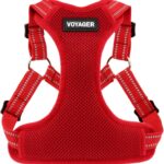 Best Pet Supplies Voyager Adjustable Step-in Flex Breathable Mesh Dog Harness for Small Medium Large Dogs (Red), XL