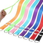 HOMIMP Slip Lead Dog Leash 6 FT-8 PCS Bulk Colors Kennel Control Leashes for Small Medium Large Dogs Puppy Animal Rescue, Grooming - Heavy Duty Strong Nylon 6 Foot Long for Shelter, Vet, Training