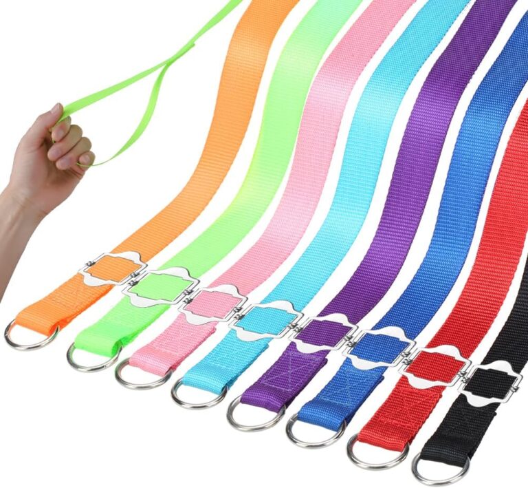 HOMIMP Slip Lead Dog Leash 6 FT-8 PCS Bulk Colors Kennel Control Leashes for Small Medium Large Dogs Puppy Animal Rescue, Grooming - Heavy Duty Strong Nylon 6 Foot Long for Shelter, Vet, Training