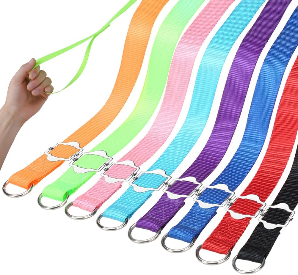 HOMIMP Slip Lead Dog Leash 6 FT-8 PCS Bulk Colors Kennel Control Leashes for Small Medium Large Dogs Puppy Animal Rescue, Grooming - Heavy Duty Strong Nylon 6 Foot Long for Shelter, Vet, Training HOMIMP Slip Lead Dog Leash 6 FT-8 PCS Bulk Colors Kennel Control Leashes for Small Medium Large Dogs Puppy Animal Rescue, Grooming - Heavy Duty Strong Nylon 6 Foot Long for Shelter, Vet, Training