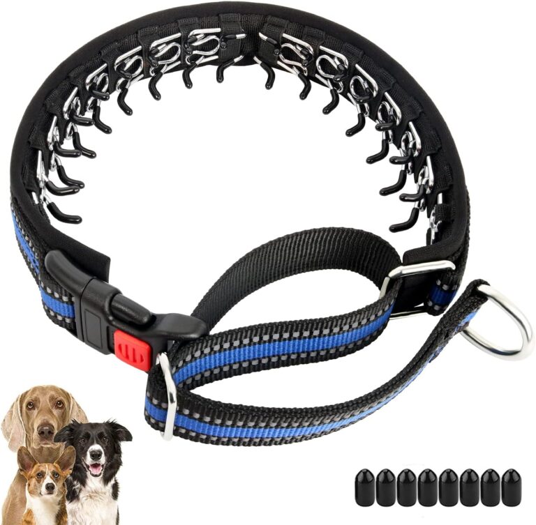 Mayerzon Martingale Collar for Dogs, No Pull Dog Collar with Reflective Strip for Small Medium Large Dogs, Anti Pulling Dog Collar with Buckle for Walking Training, Safe for Night Walk(Blue, M)