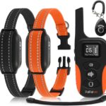 PaiPaitek Dog Vibration Collar with Controller for 2 Dogs No Shock, 9 Types of Beeps and Vibrations, 3300ft Range & Upgraded Waterproof Training Collar for Dogs 5-120lbs - No Prongs