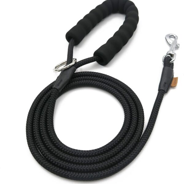 Aiminto Dog Leash, Braided Rope Traction  Walking Training Lead for Small Dogs ((1/3") x 6FT, Black)