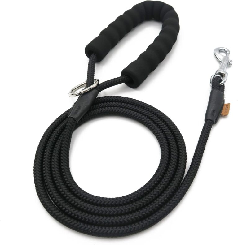 Aiminto Dog Leash, Braided Rope Traction  Walking Training Lead for Small Dogs ((1/3") x 6FT, Black)