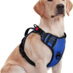rabbitgoo Dog Harness for Large Dogs, No Pull Pet Harness with Soft Padded Handle, Adjustable Reflective Vest with 3 Buckles, Easy Walking Harness with 2 Leash Clips, Blue, M