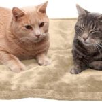 Furhaven ThermaNAP Self-Warming Cat Bed for Indoor Cats & Large/Medium Dogs, Washable & Reflects Body Heat - Quilted Faux Fur Reflective Bed Mat - Cream, Large