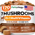 Turkey Tail Mushroom for Dogs - 170 Chews - Lions Mane - Shiitake - Reishi - Buddy Immune Support Guard - Mushroom Supplement for Dogs Lumps and Bumps Glucosamine, Health Vitamins Multivitamin