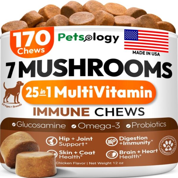 Turkey Tail Mushroom for Dogs - 170 Chews - Lions Mane - Shiitake - Reishi - Buddy Immune Support Guard - Mushroom Supplement for Dogs Lumps and Bumps Glucosamine, Health Vitamins Multivitamin