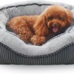 SIWA MARY Small Dog Beds for Small Dogs Cats, Washable Pet Bed, Cat Beds for Indoor Cats, Rectangle Soft Calming Sleeping Warming Puppy Bed with Anti-Slip Bottom(20"x19"x6")