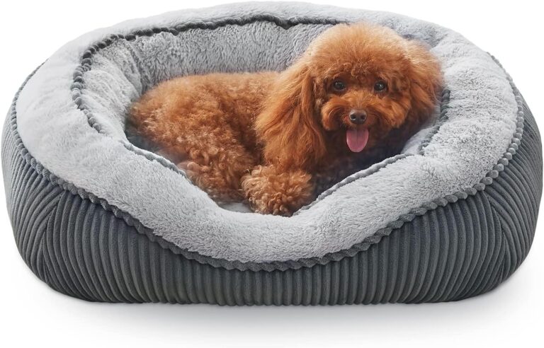 SIWA MARY Small Dog Beds for Small Dogs Cats, Washable Pet Bed, Cat Beds for Indoor Cats, Rectangle Soft Calming Sleeping Warming Puppy Bed with Anti-Slip Bottom(20"x19"x6")
