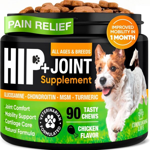Glucosamine & Chondroitin for Dogs  Hip and Joint Supplement Chews with MSM, Vitamin C, Turmeric, Omega-3 for All Breeds  Pain & Mobility Support  2-Month Supply  Chicken Flavor