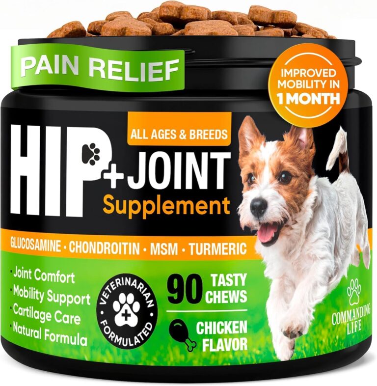 Glucosamine & Chondroitin for Dogs  Hip and Joint Supplement Chews with MSM, Vitamin C, Turmeric, Omega-3 for All Breeds  Pain & Mobility Support  2-Month Supply  Chicken Flavor