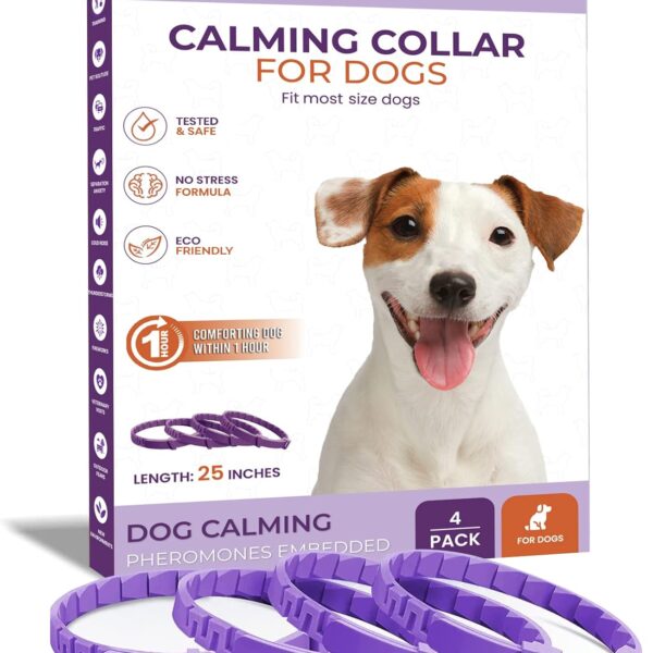 Royce Naturals 4 Pack Calming Collar for Dogs, Pheromone Breakaway Dog Collar, Separation Anxiety Relief for Dogs, Purple, (PETCOL01-3PP)