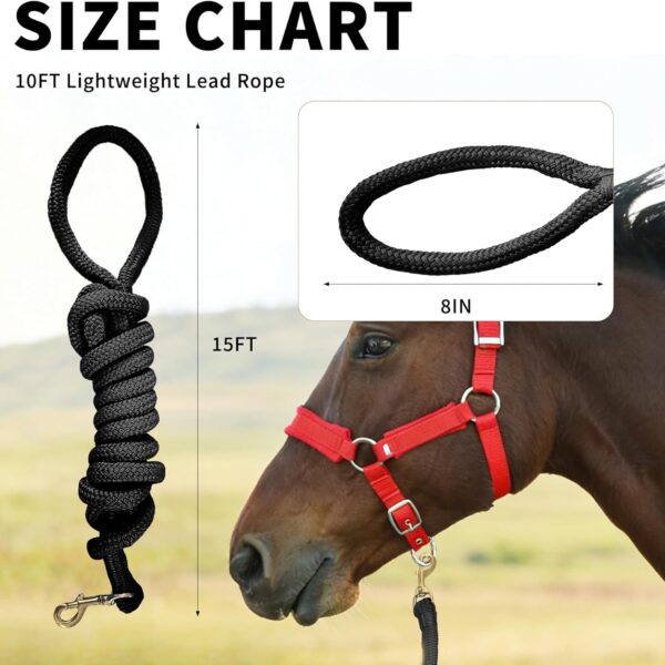 Horse Training Lead Rope, 15 Feet Long, Black Nylon
