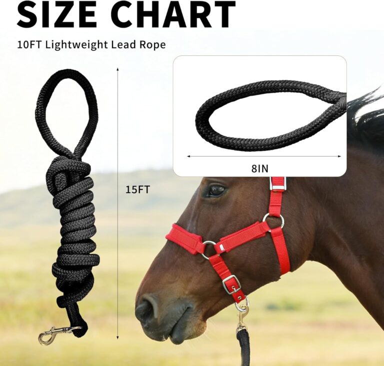 Horse Training Lead Rope, 15 Feet Long, Black Nylon