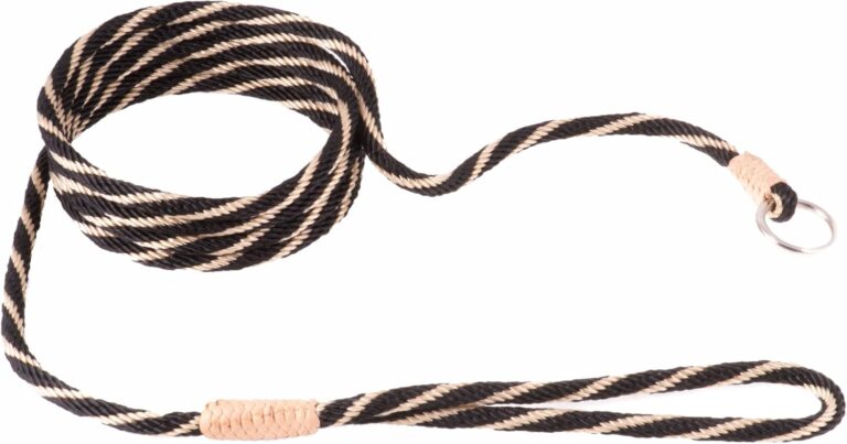 Alvalley Nylon Slip Leashes with Braided Leather - Adjustable Pet Lead for Dogs - Soft, Smooth Leash for Training & Walking - Durable, Strong Rope (Black & Gold, 6ft Long, 6mm Thick)