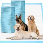 40 Pack Extra Large Dog Pee Pads, XXL Puppy Training Pads - 31.5 x 35.4 Inch, Quick Dry, 6-Layer Leak Proof Protection and Disposable Dog Pads with Super Absorbent for Indoor, Outdoor Use
