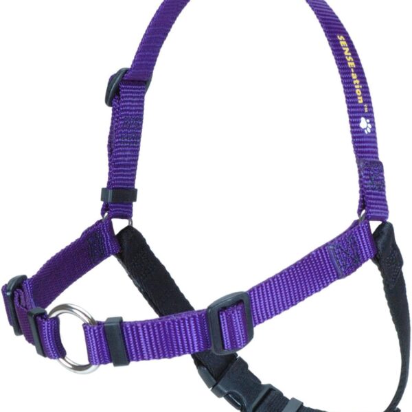 SENSE-ation No-Pull Dog Harness - Purple Medium