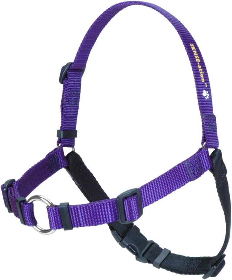 SENSE-ation No-Pull Dog Harness - Purple Medium