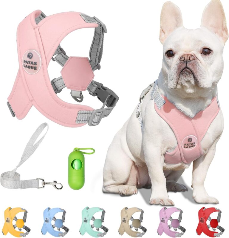 Patas Lague Dog Harness with Leash Set Adjustable Soft Padded Step-in Dog Vest No Choke No Pull Reflective for Medium Pets with Poop Bags and Dispenser, Solid and No-chew, Pink L