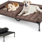 Veehoo Cooling Raised Dog Beds + Waterproof Double Dog Bed Cushion for Two Medium Dogs, Elevated Pet Cot with Removable Bolster Mat, Breathable Mesh, No-Slip Feet, Pets Couch Bed, 59x37.5inches, Black